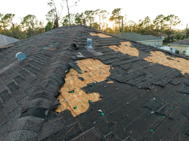 Best Roof Maintenance and Cleaning  in Ave Maria, FL