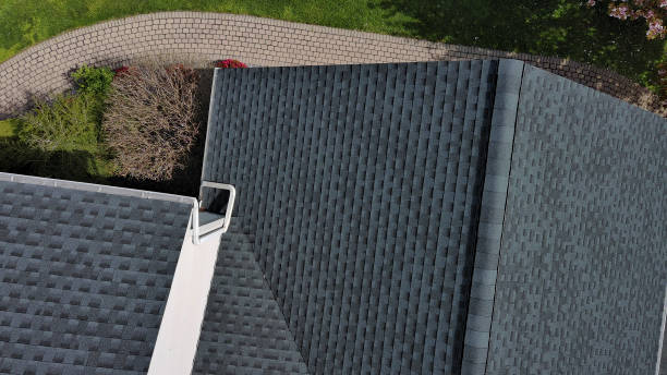 Best Roof Maintenance and Cleaning  in Ave Maria, FL
