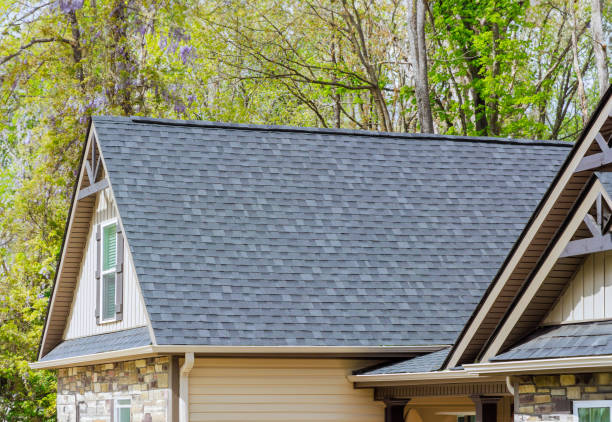 Best Asphalt Shingle Roofing  in Ave Maria, FL