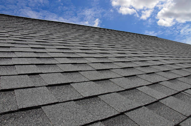 Best Sheet Metal Roofing  in Ave Maria, FL
