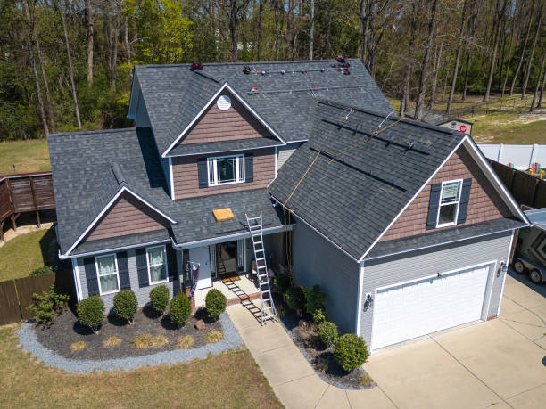 Best Asphalt Shingle Roofing  in Ave Maria, FL